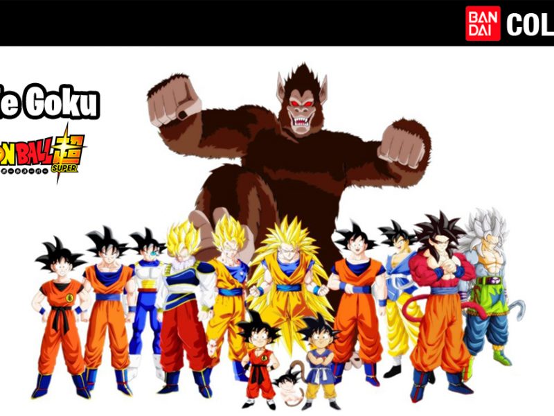 Goku ¿Sabías que en Japón lo celebran el 9 de mayo?